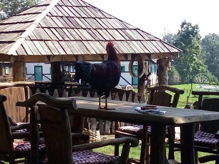Farm Stay Čardaklije Kulen Vakuf Dış mekan fotoğraf